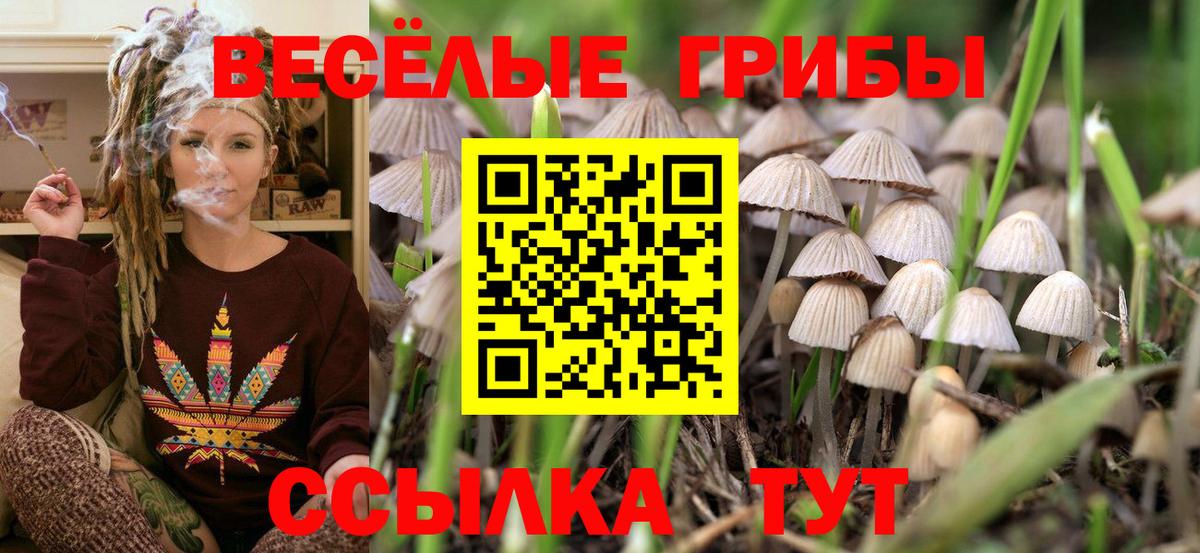 где найти наркотики  Псилоцибиновые грибы мицелий  Псилоцибиновые грибы прущие грибы  Вход с VPN  Фролово 